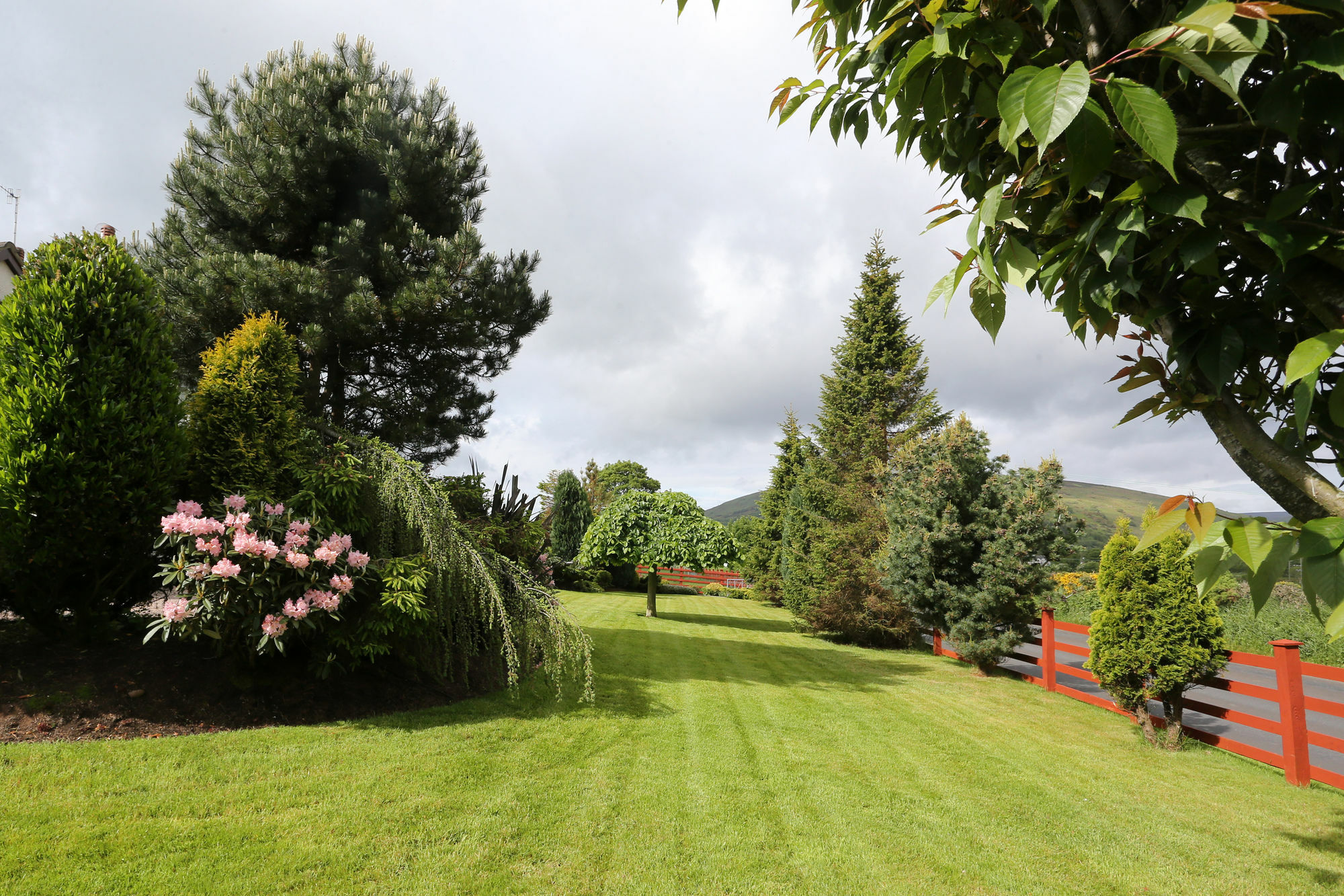 Sleepy Hollow B&B Ballymena Exterior foto
